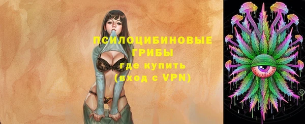 MDMA Белокуриха
